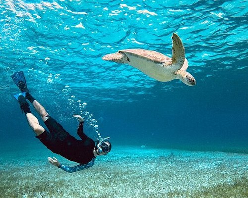 Mergulho com Snorkel em Bombinhas