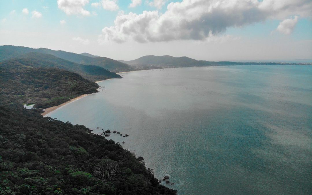 “Caminho para cachoeira da praia triste”